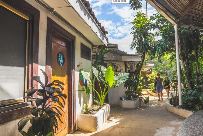 Pura Vida Hostel Тамариндо Экстерьер фото