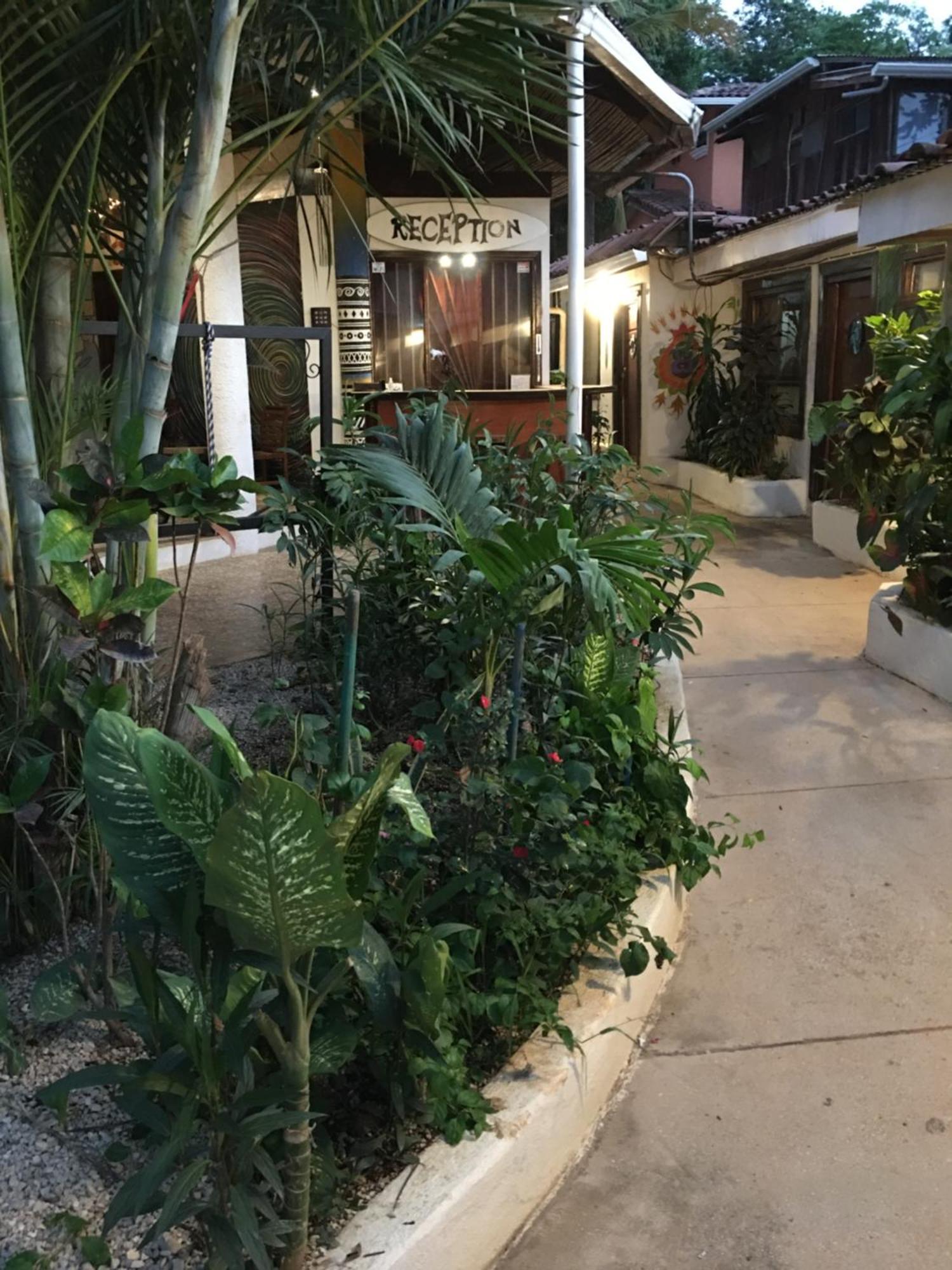 Pura Vida Hostel Тамариндо Экстерьер фото